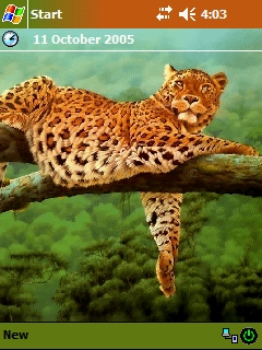 ��� �������� ��������� �� ������ ���