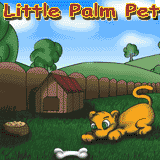 ��� �������� ��������� �� ������ Palm