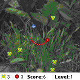 ��� �������� ��������� �� ������ Palm